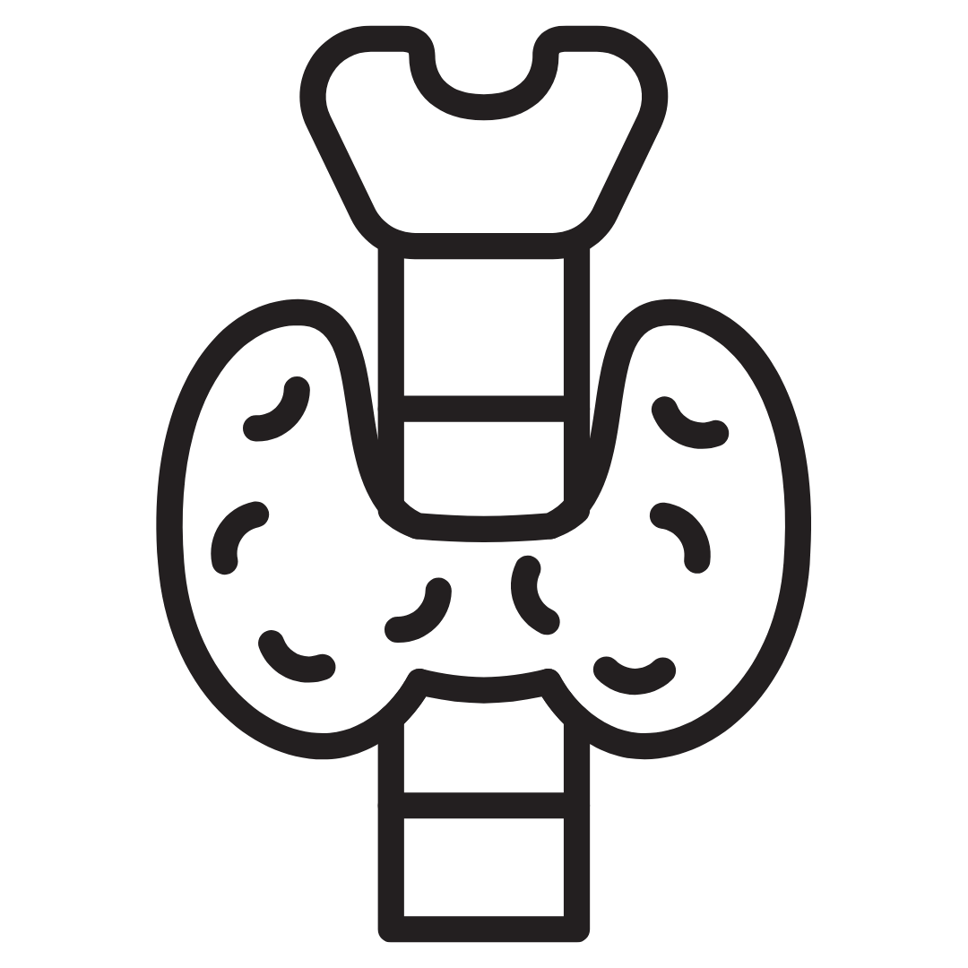 Supports Healthy Thyroid Function
