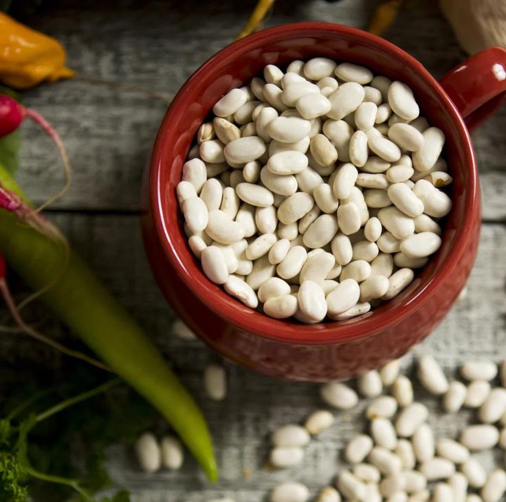 White Kidney Bean Extract 