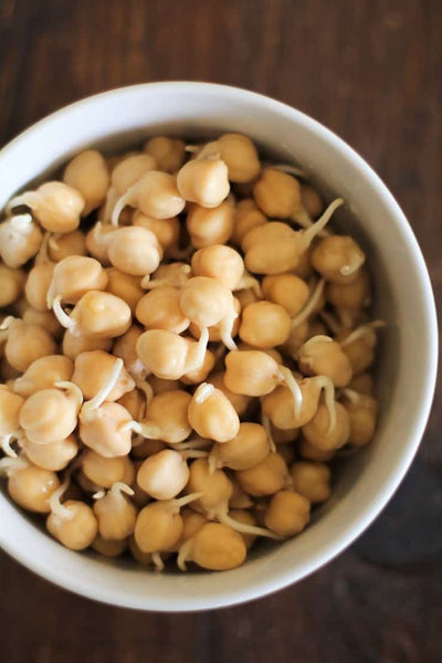 Vit K2 - Fermented Chickpeas