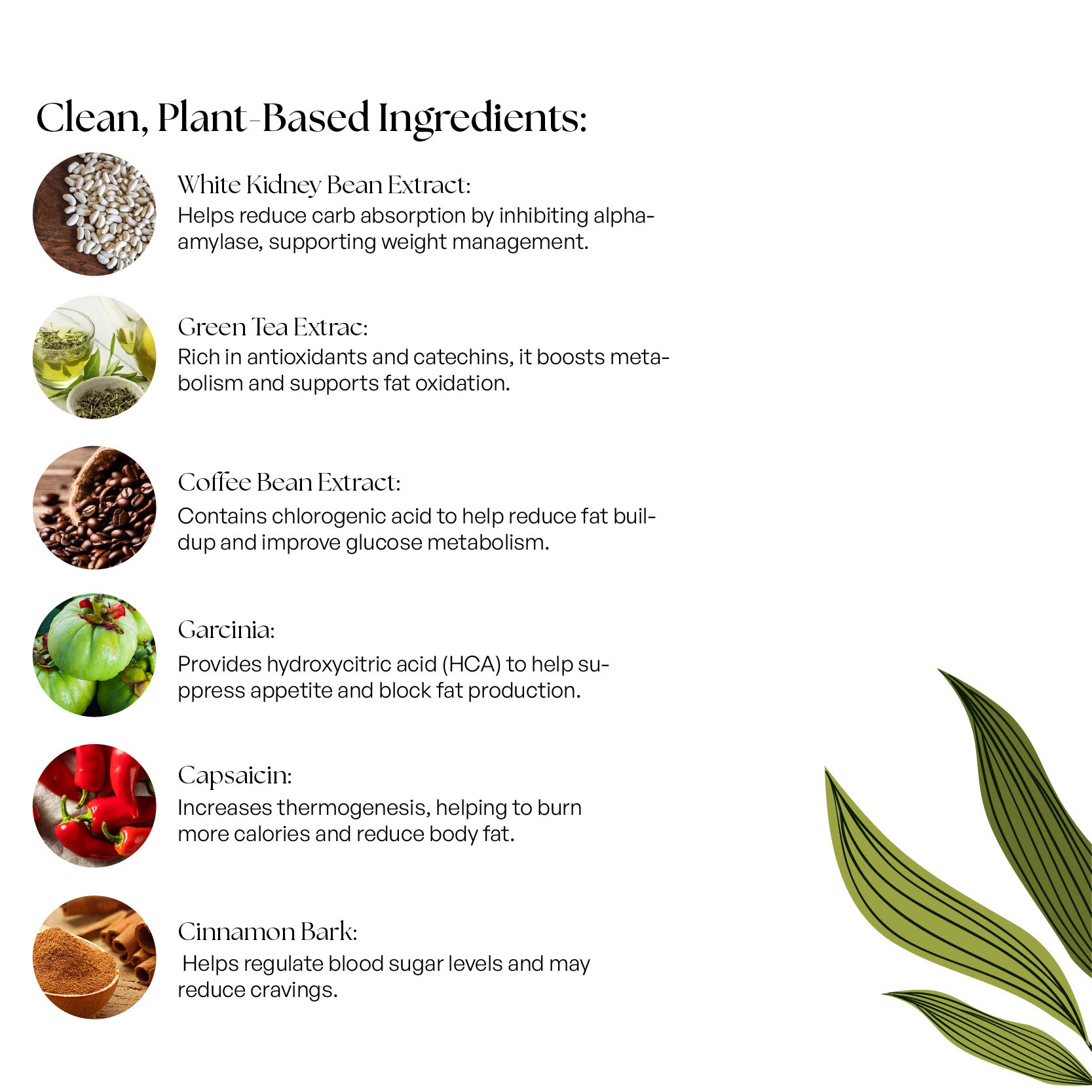 Weight Management