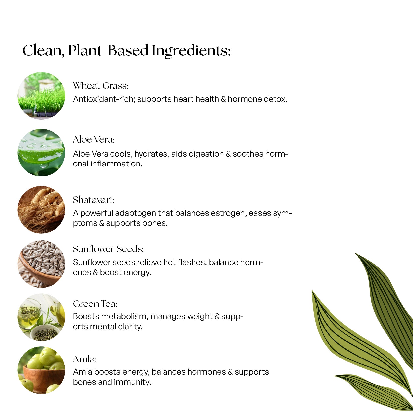 Menopause Support