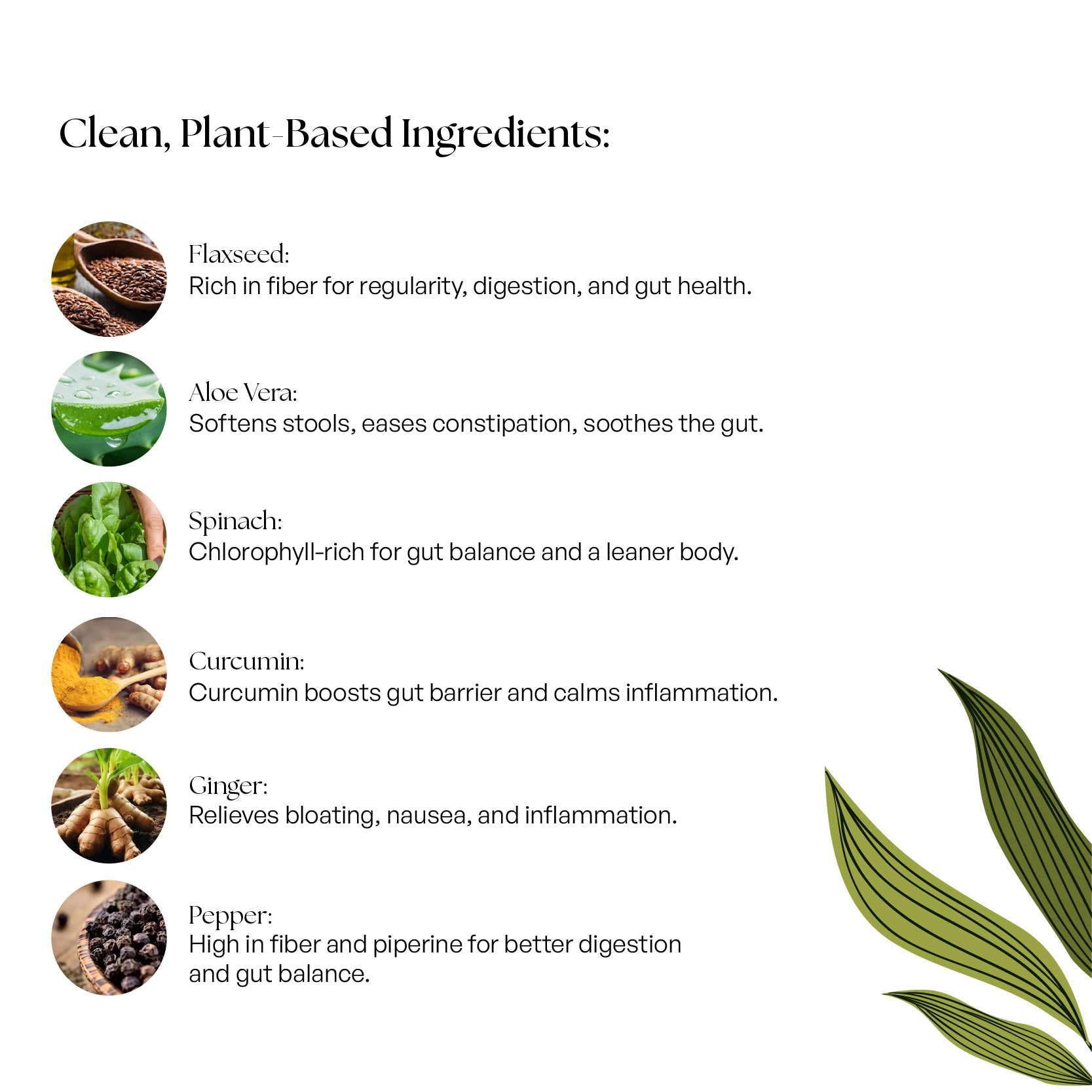 Gut Health