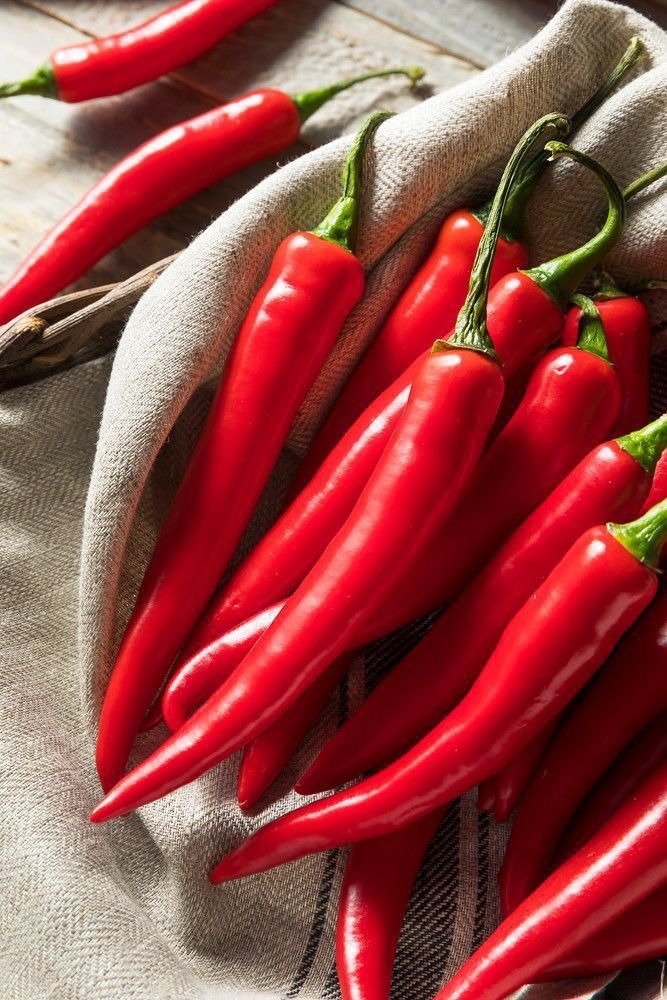 Capsaicin 