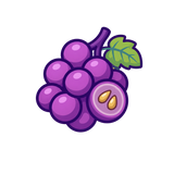 Grape Seed Extract