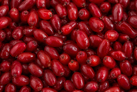 Berberine