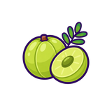 Amla