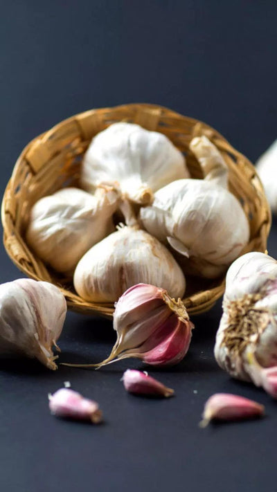 Garlic